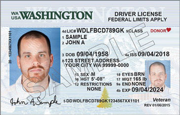 Washington Drivers License