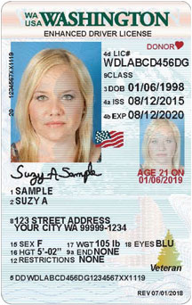 Washington Enhanced Drivers License for Minors